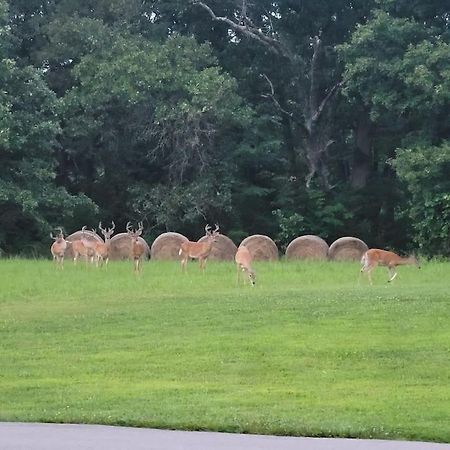Deer Run Estate Llc Hotel Marshfield Luaran gambar