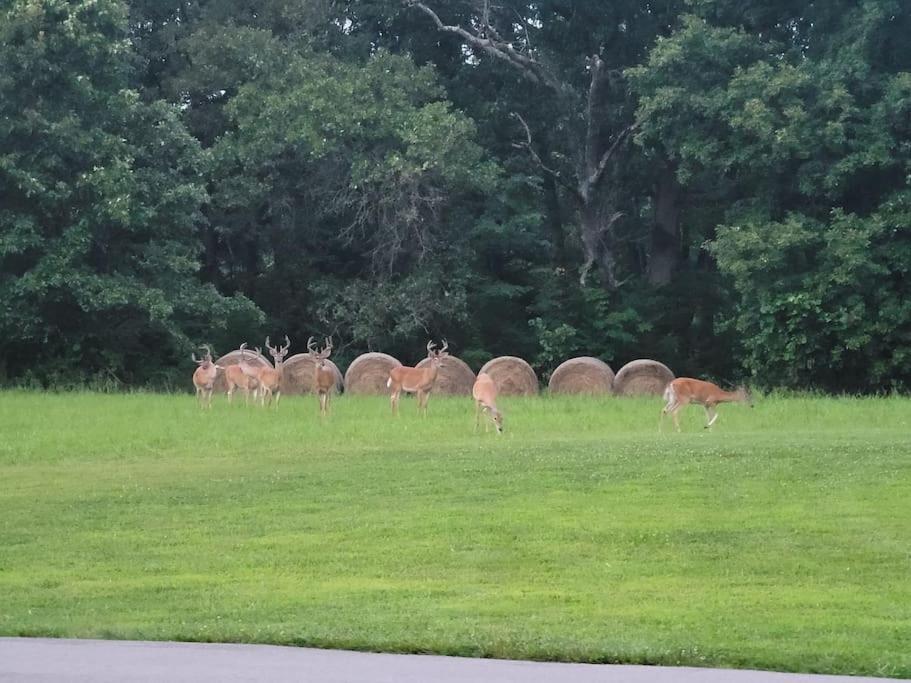 Deer Run Estate Llc Hotel Marshfield Luaran gambar