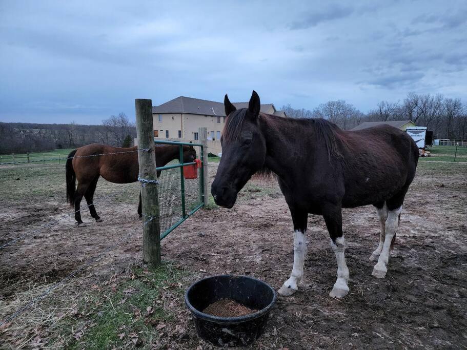 Deer Run Estate Llc Hotel Marshfield Luaran gambar